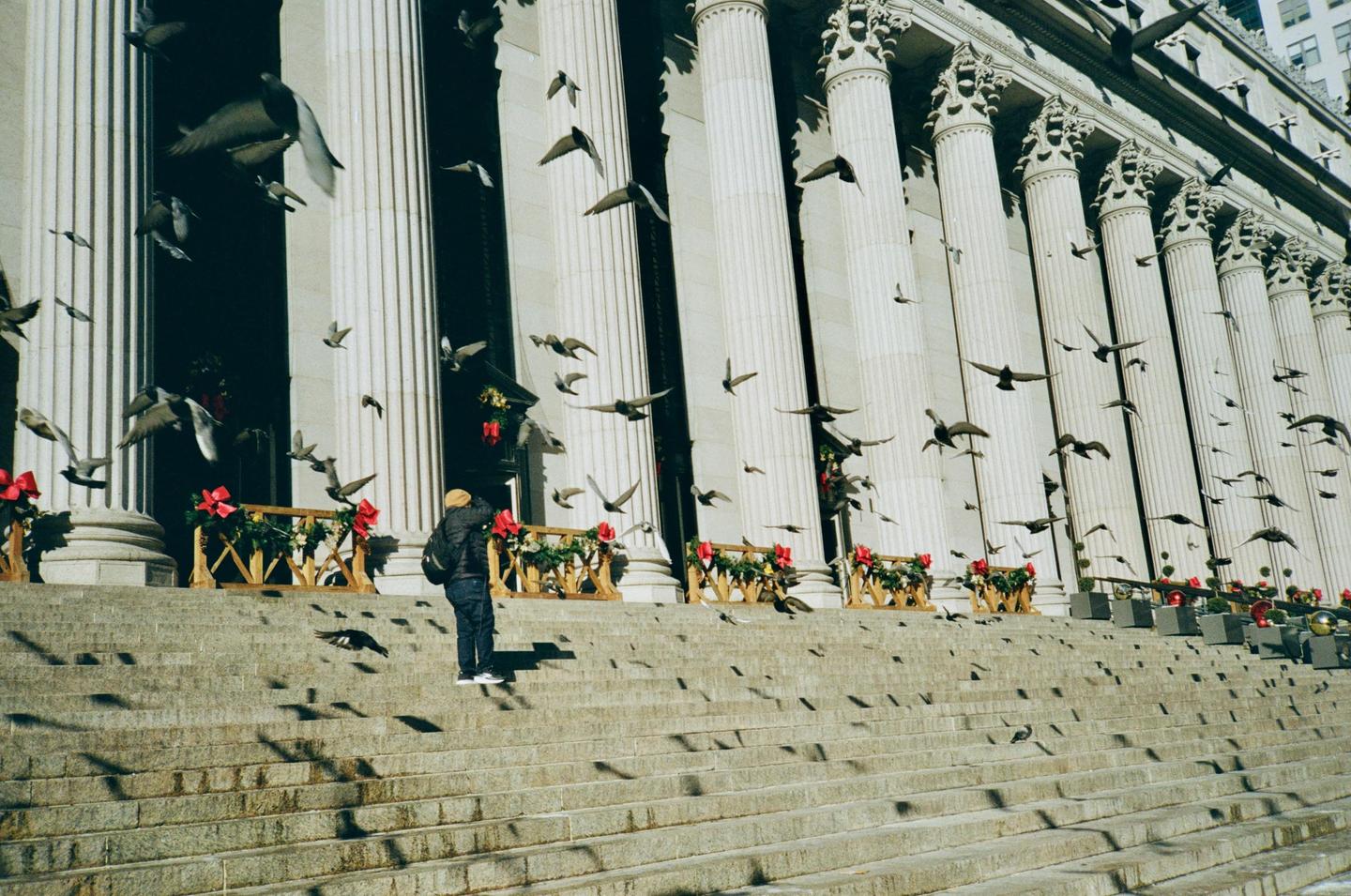 A man stands on stone steps in front of a building with large columns as many pigeons fly around him.
