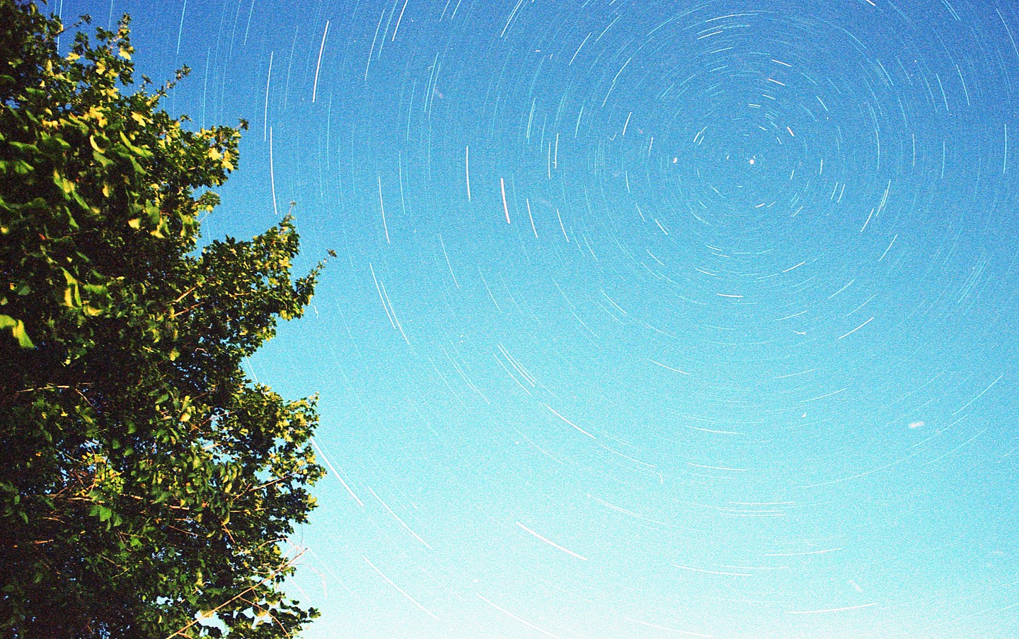 A tree is visible on the left side of the frame, with star trails filling the night sky.