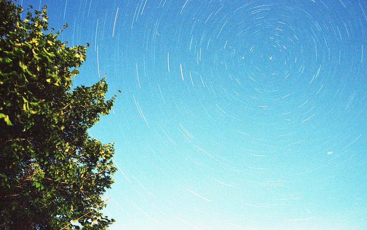 A tree is visible on the left side of the frame, with star trails filling the night sky.