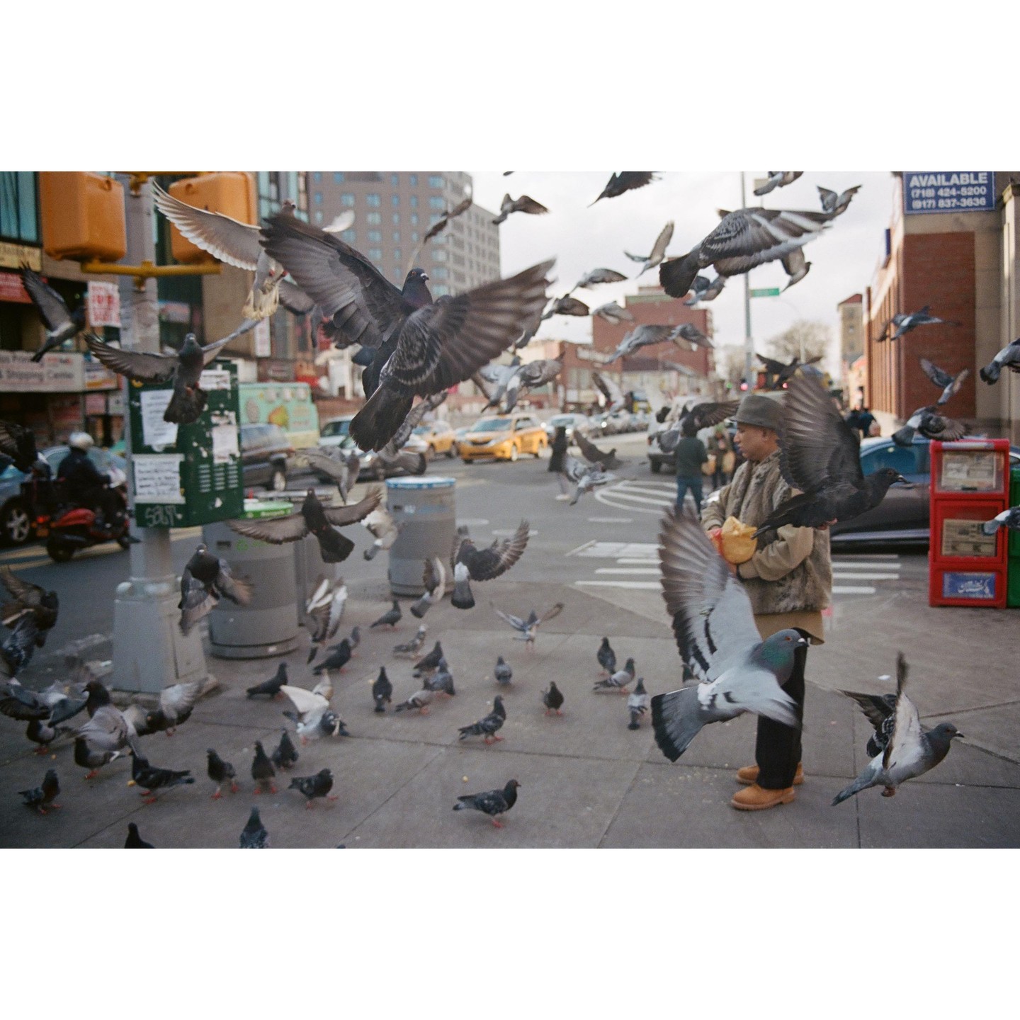 A man feeds a large flock of pigeons on a city street.