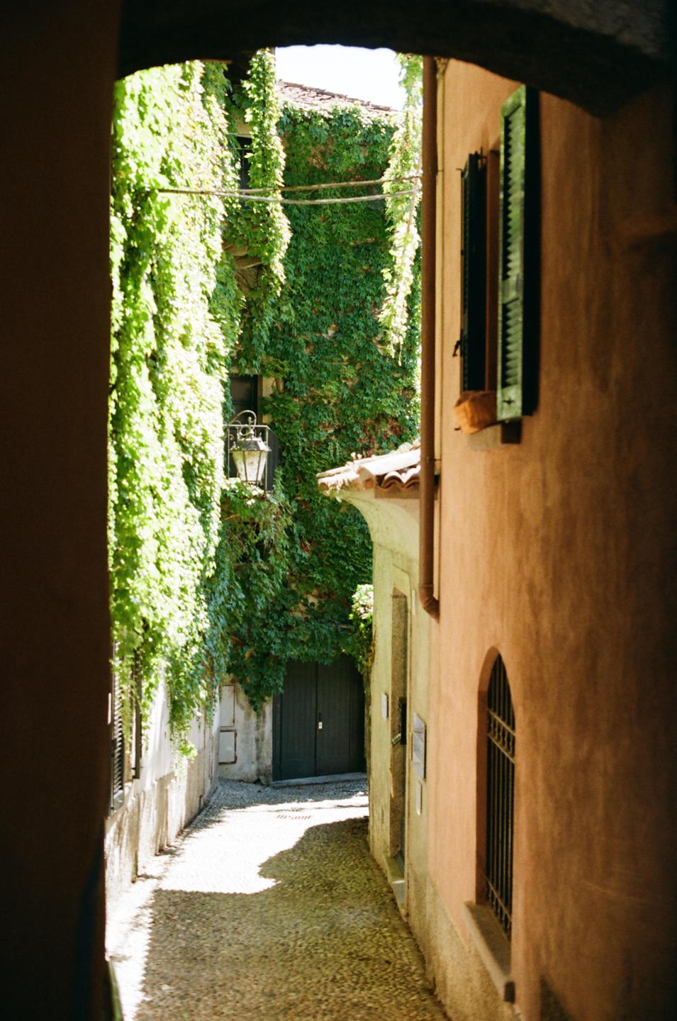 A narrow alleyway with ivy-covered walls and a cobblestone ground leads to a dark wooden door.