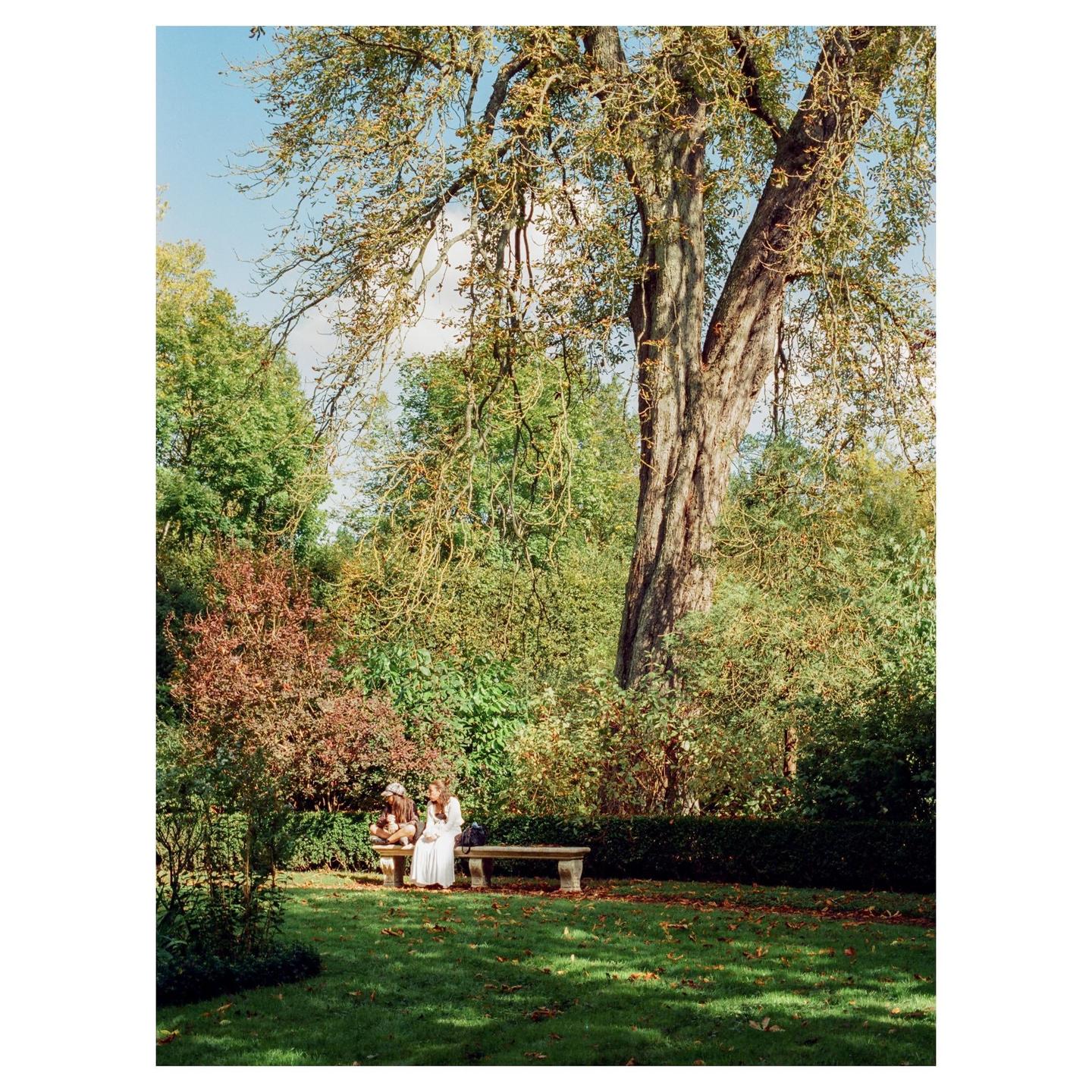 Two women sit on a stone bench in a park with a large tree and fallen leaves on the grass.