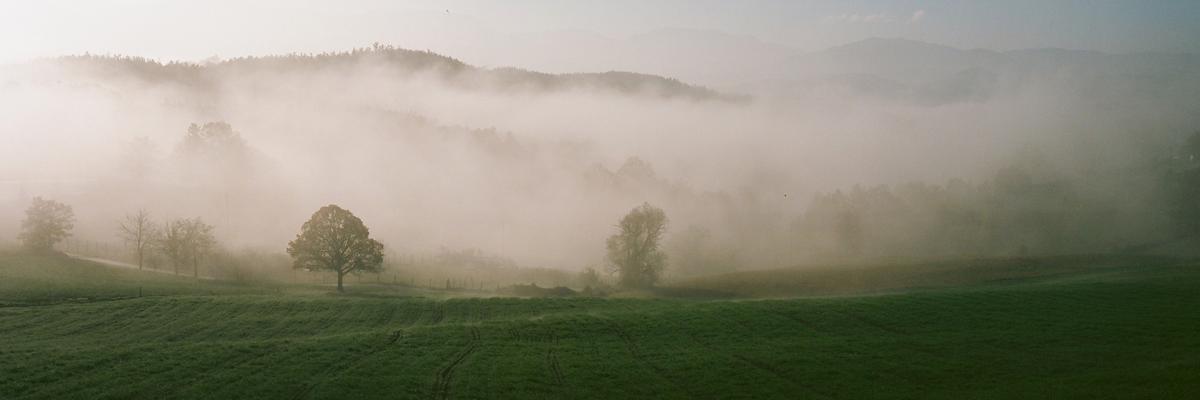 A panoramic landscape shows a green field in the foreground, with trees and hills shrouded in fog in the background.