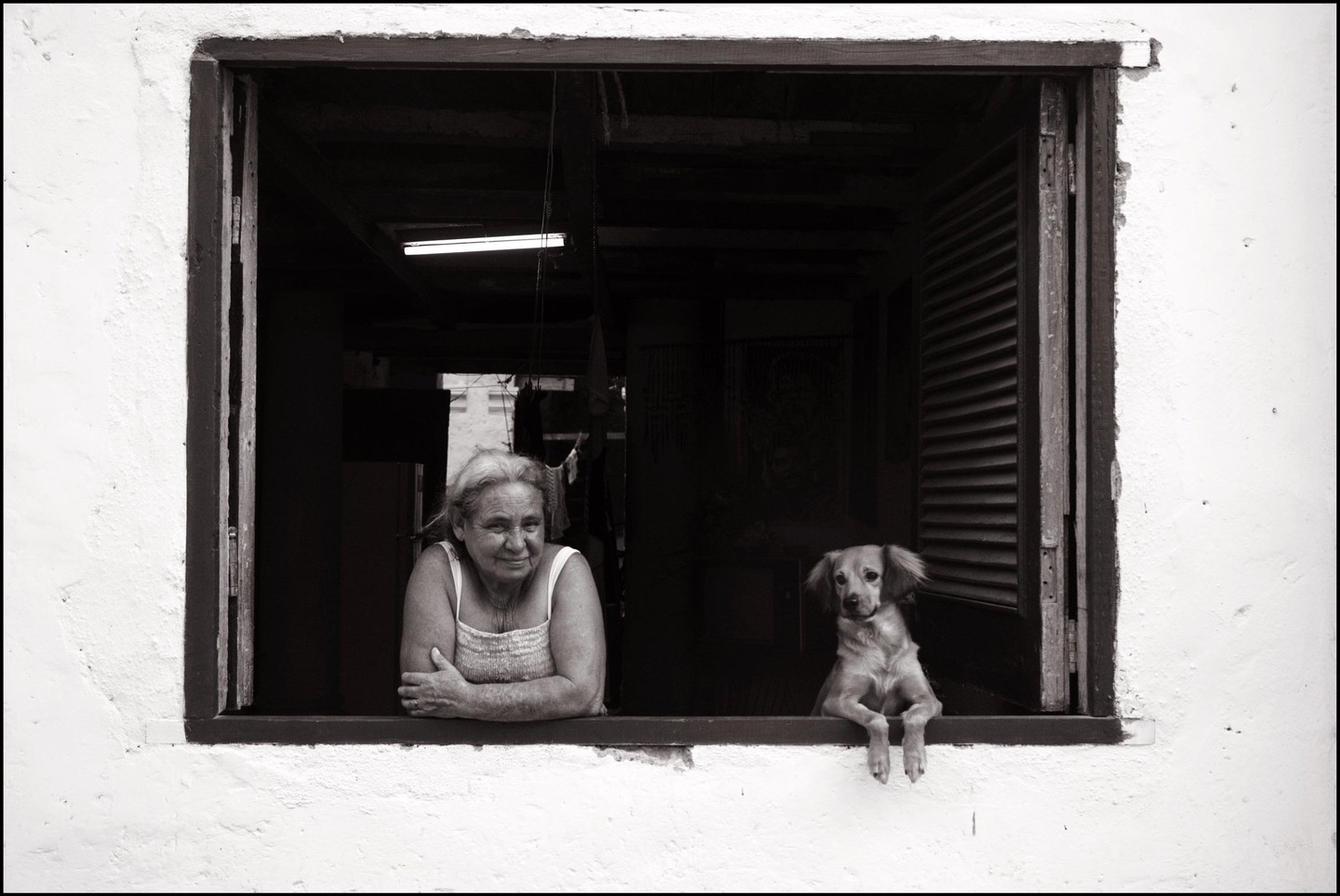 A woman and a dog look out of a window.