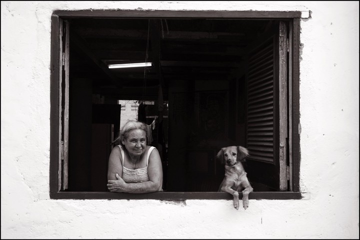 A woman and a dog look out of a window.