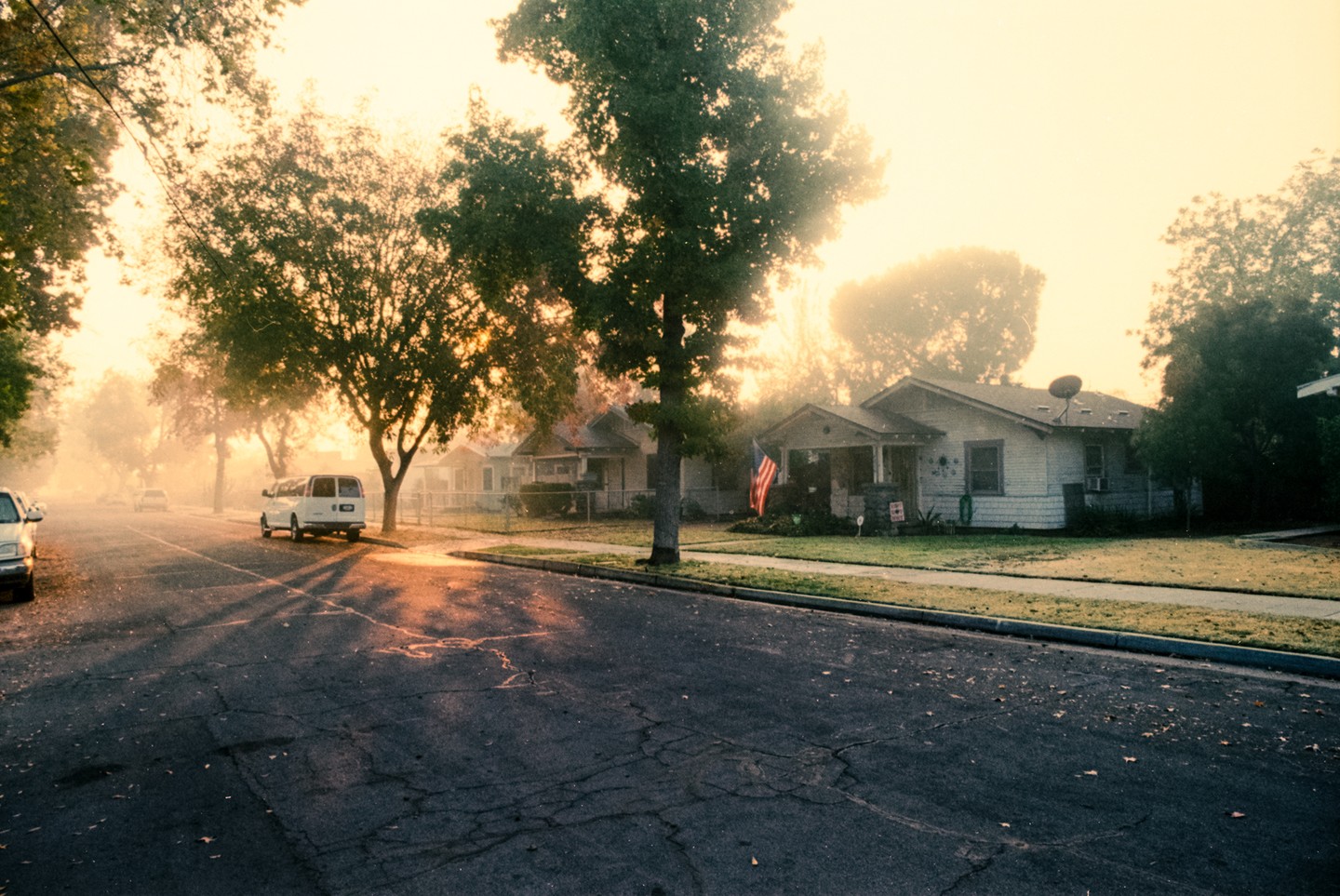 A street with houses and trees is hazy in the early morning light.
