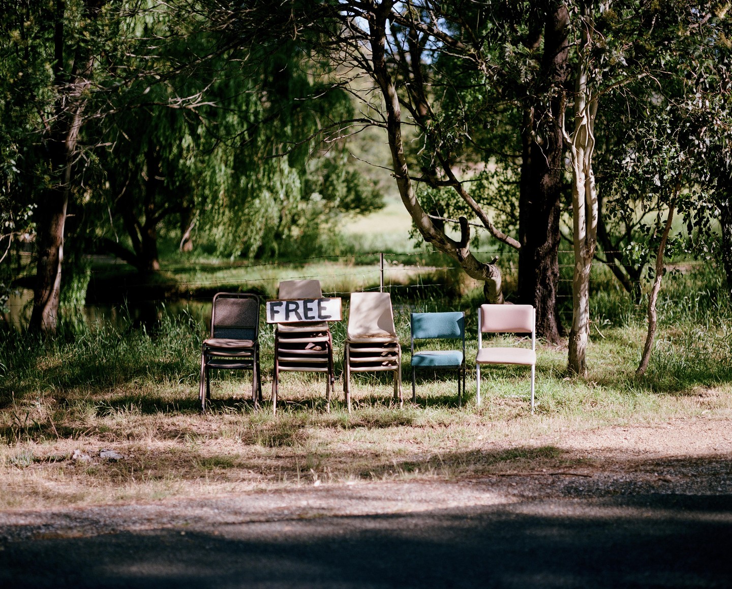 A row of chairs with a "FREE" sign sits on the grass next to a road, with trees and a body of water in the background.