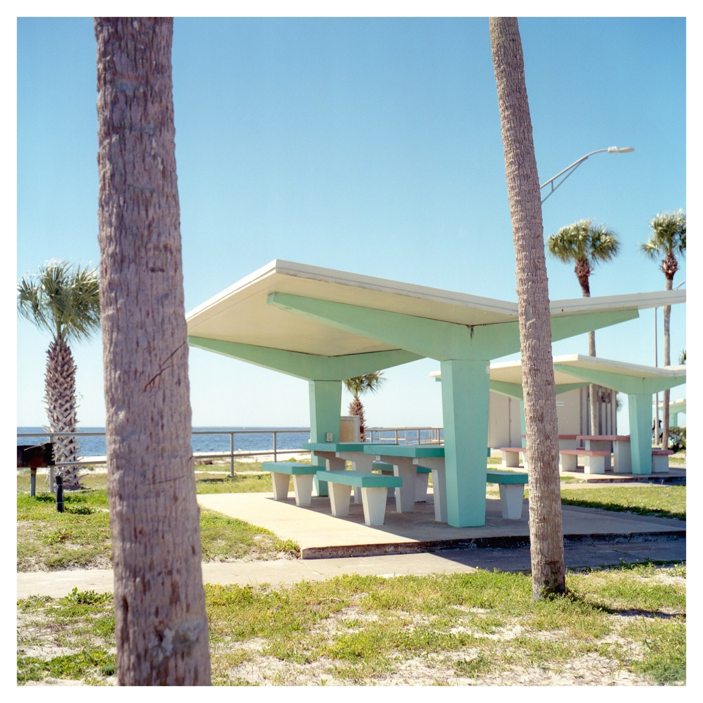 A picnic shelter with mint green accents stands near the ocean, framed by two palm tree trunks in the foreground.