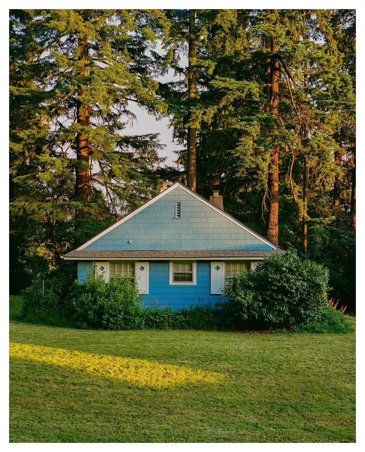 A blue cottage with white shutters is nestled among tall green trees, with a sunlit lawn in the foreground.