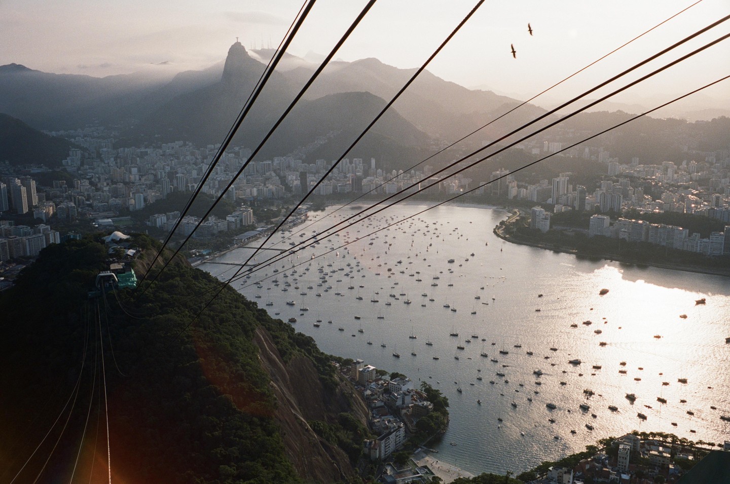 A high-angle view of a bay filled with boats, a city, and mountains in the distance, with cable car wires crossing the frame.