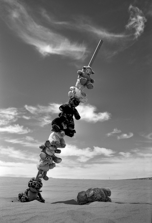 A stack of stuffed animals is balanced on a stick in a desert landscape under a cloudy sky.