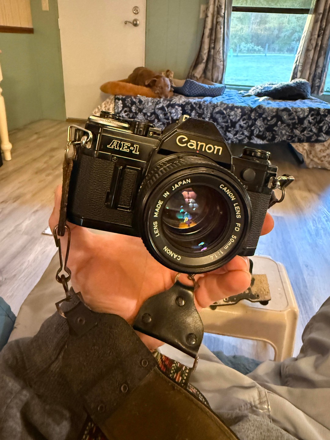 A hand holds a camera with a dog sleeping on a bed in the background.