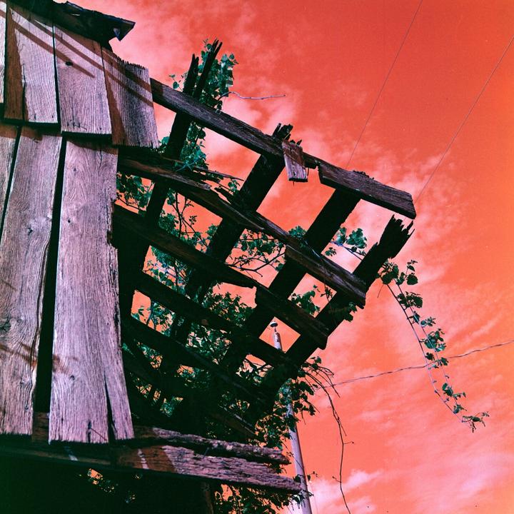 A wooden structure with vines growing on it is silhouetted against a vibrant orange sky with clouds.