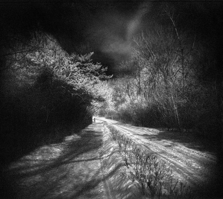 A person walks down a snow-covered path lined with trees and bushes.