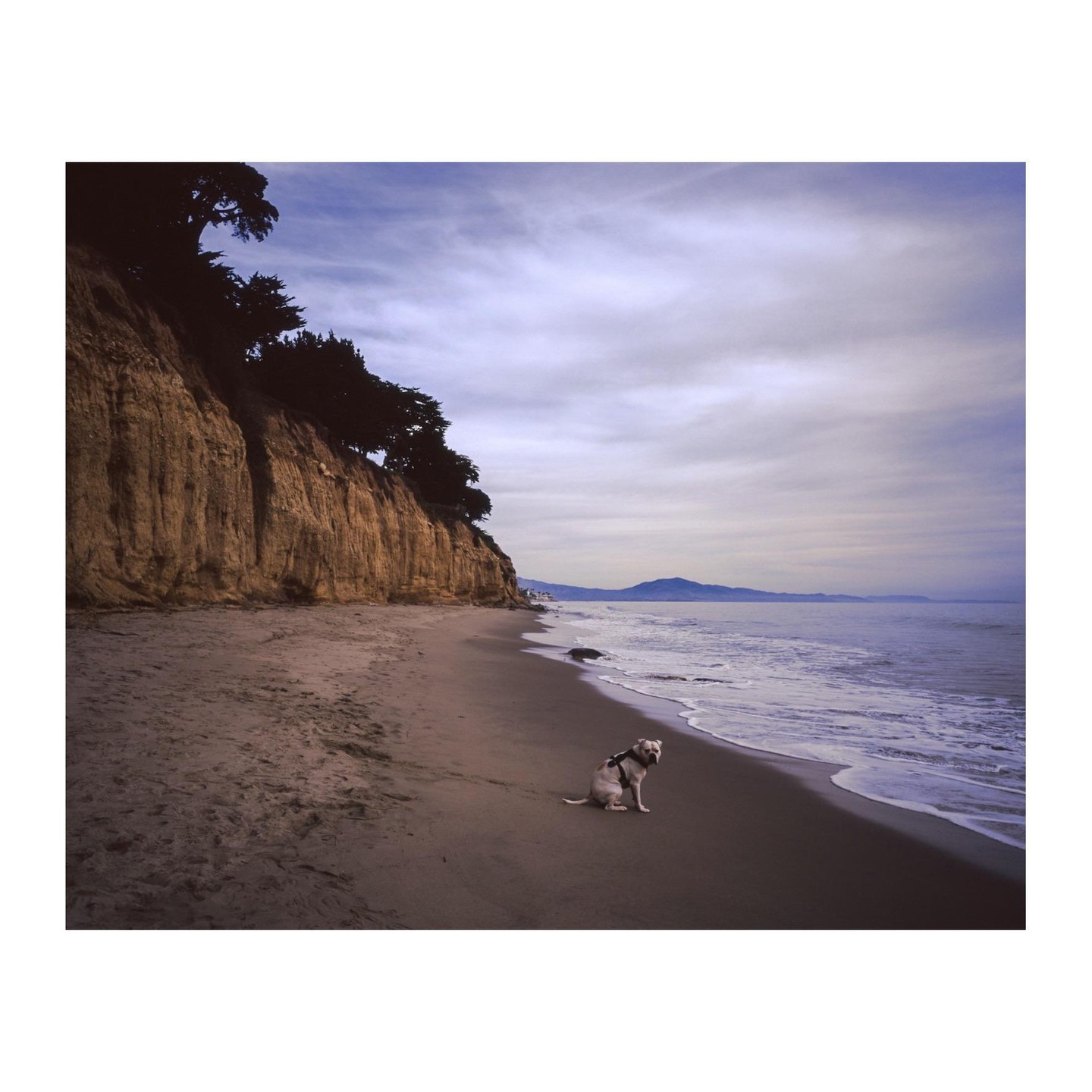 A dog sits on a sandy beach next to the ocean with cliffs and trees on the left and mountains in the distance.