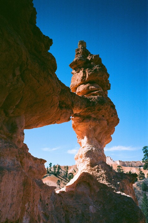 A natural arch of red rock formations frames a distant view of a canyon with scattered trees under a clear blue sky.