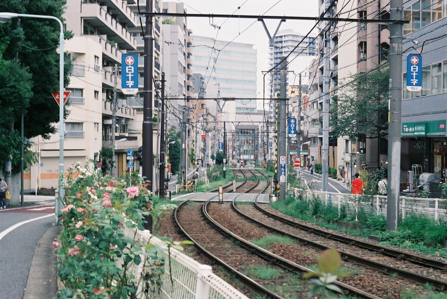 A street in a city with tram tracks curving through the middle, flanked by buildings and power lines.
