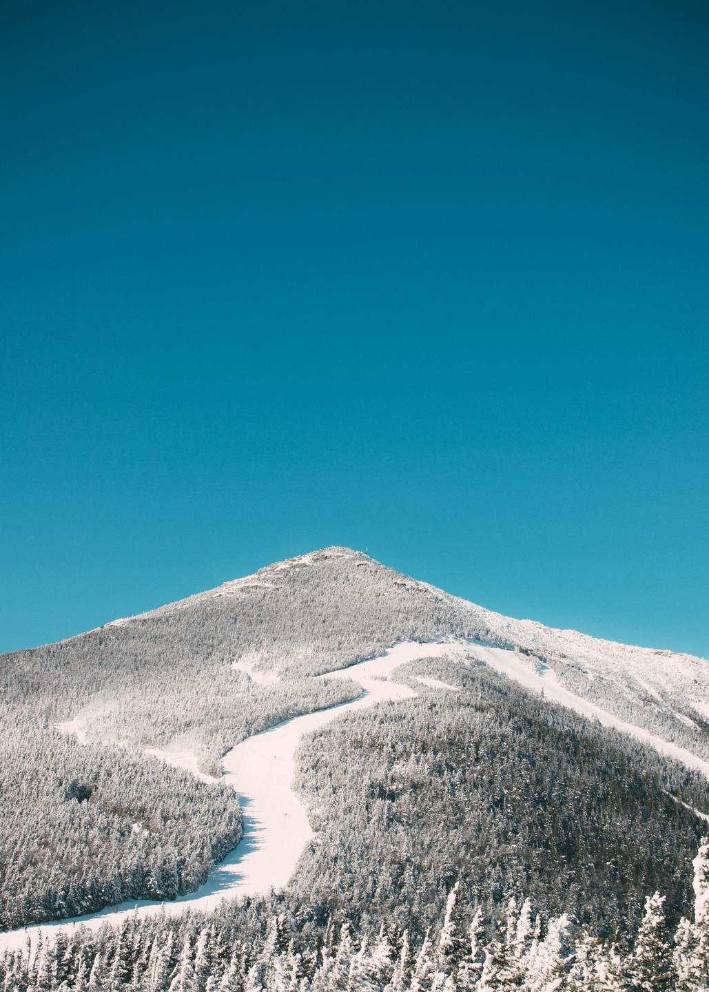 A snow-covered mountain with ski slopes is visible under a clear blue sky.