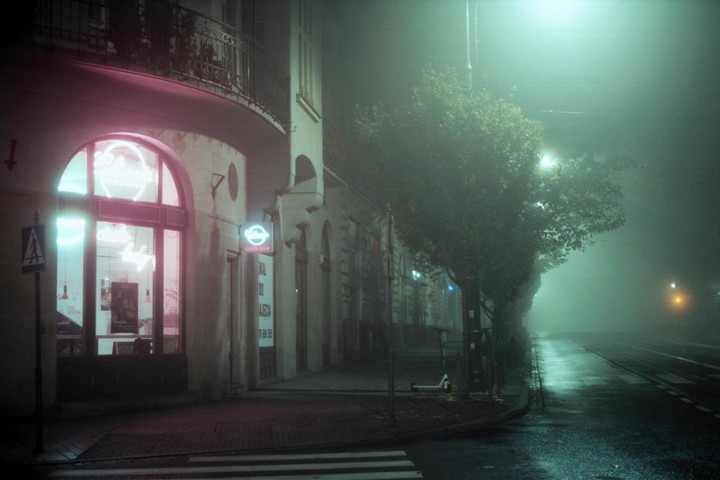 A foggy street at night features a building with neon signs and a tree-lined sidewalk next to a wet road.