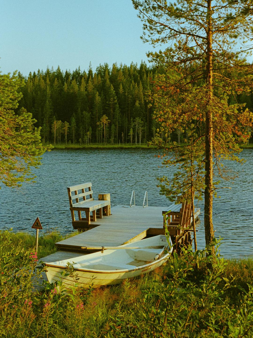 A small boat rests on the grassy shore next to a wooden dock with benches, facing a lake surrounded by a dense forest.