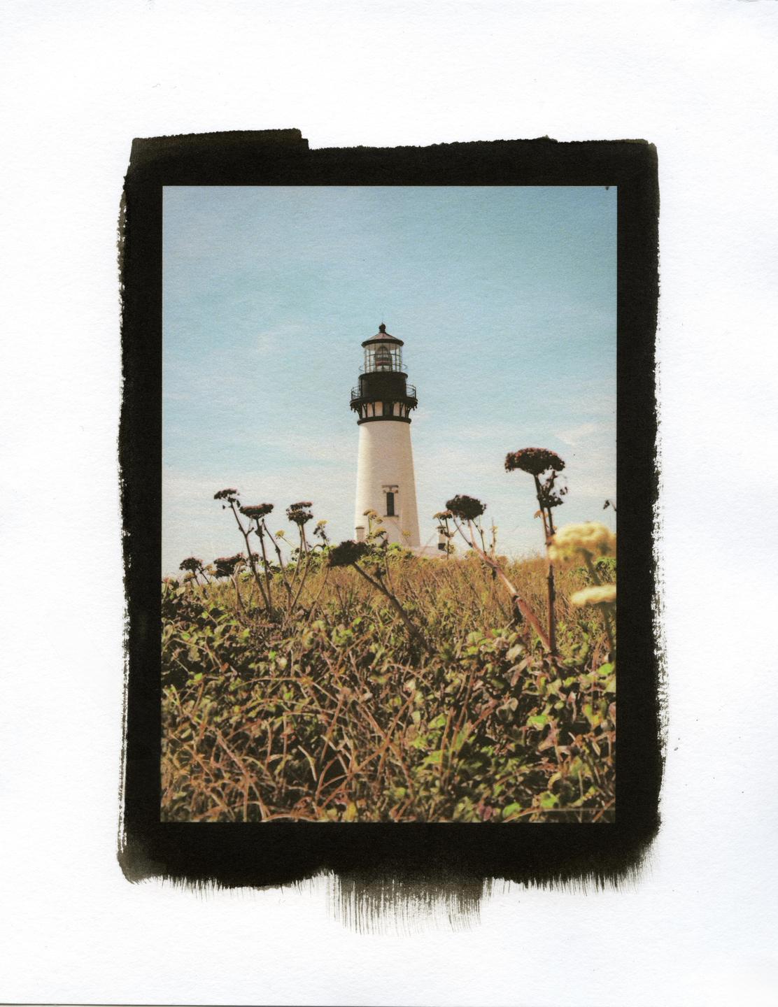 A white lighthouse stands tall amidst a field of green and brown foliage under a clear blue sky.