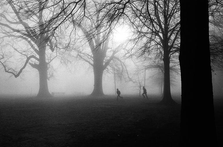Two children run through a foggy park with large, bare trees.
