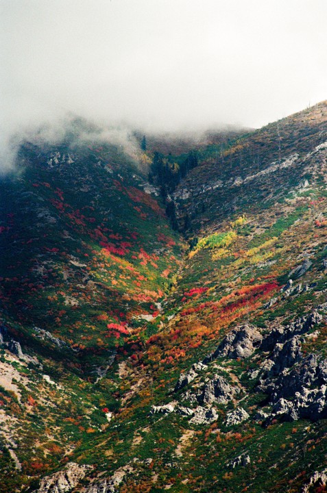 A mountain valley is covered in autumn foliage with fog at the top.