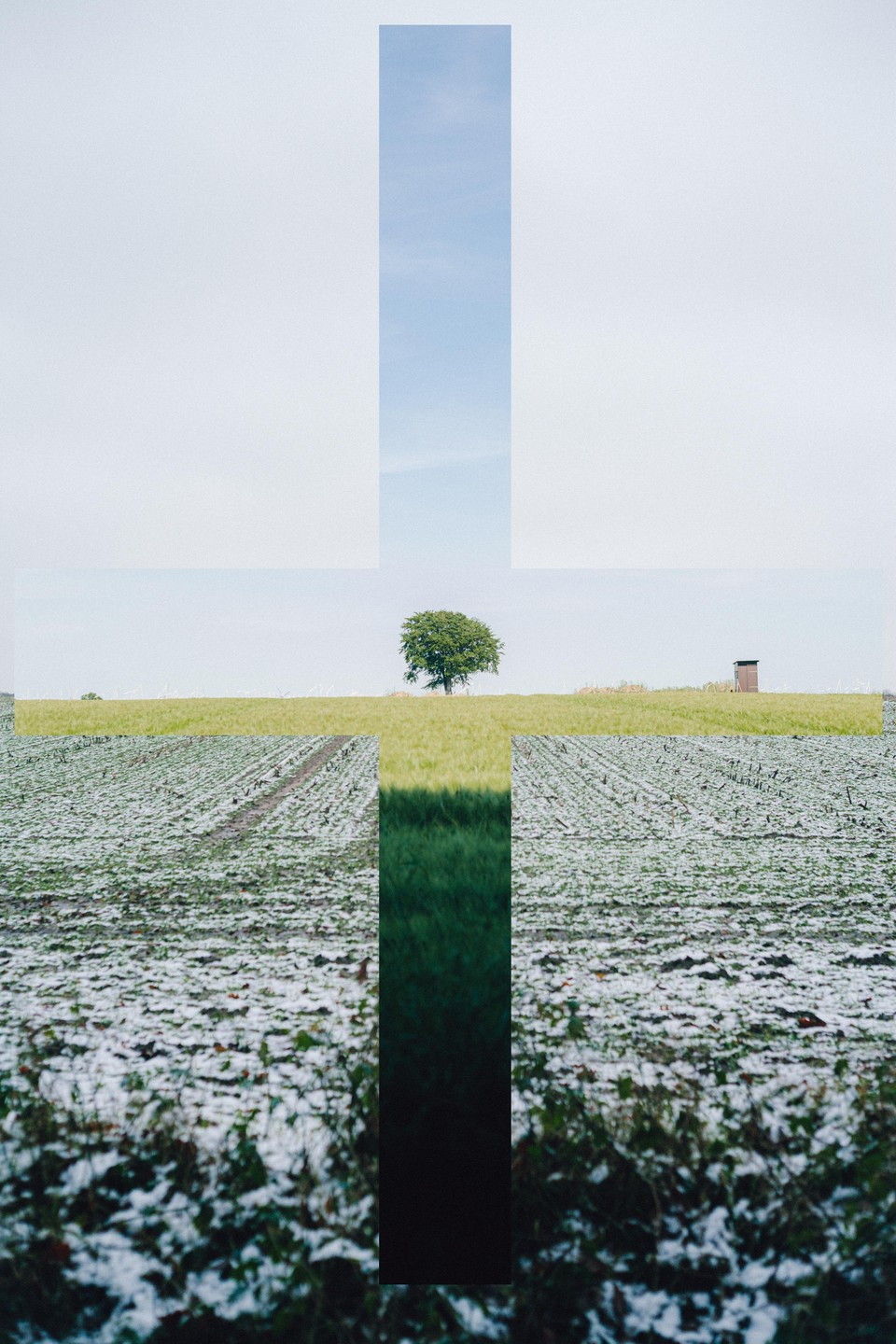 A cross-shaped collage shows a snowy field and a green field with a tree under a blue sky.