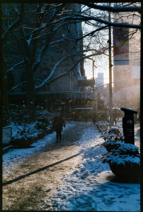 A person walks on a snow-covered path next to a building and trees, with sunlight shining through the falling snow.