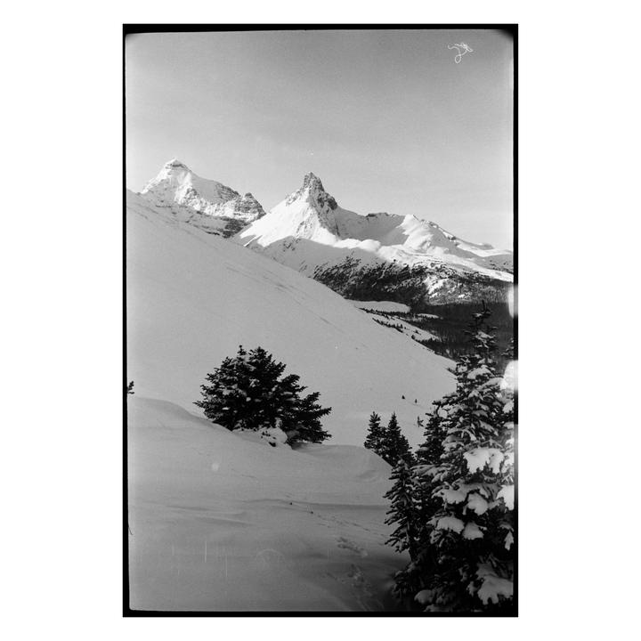 Snow-covered mountains rise above a valley with evergreen trees in the foreground.