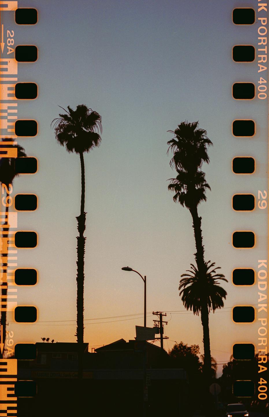 Two palm trees are silhouetted against a sunset sky with buildings and a street light below.