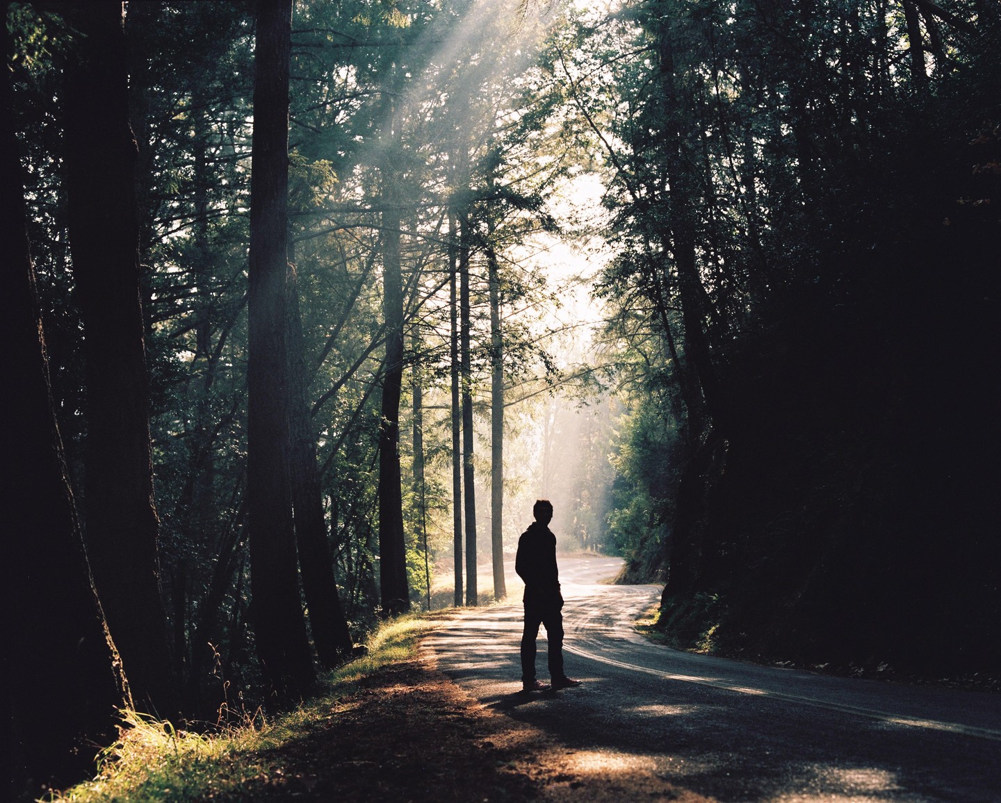 A man stands on a winding road in a forest with sun rays shining through the trees.