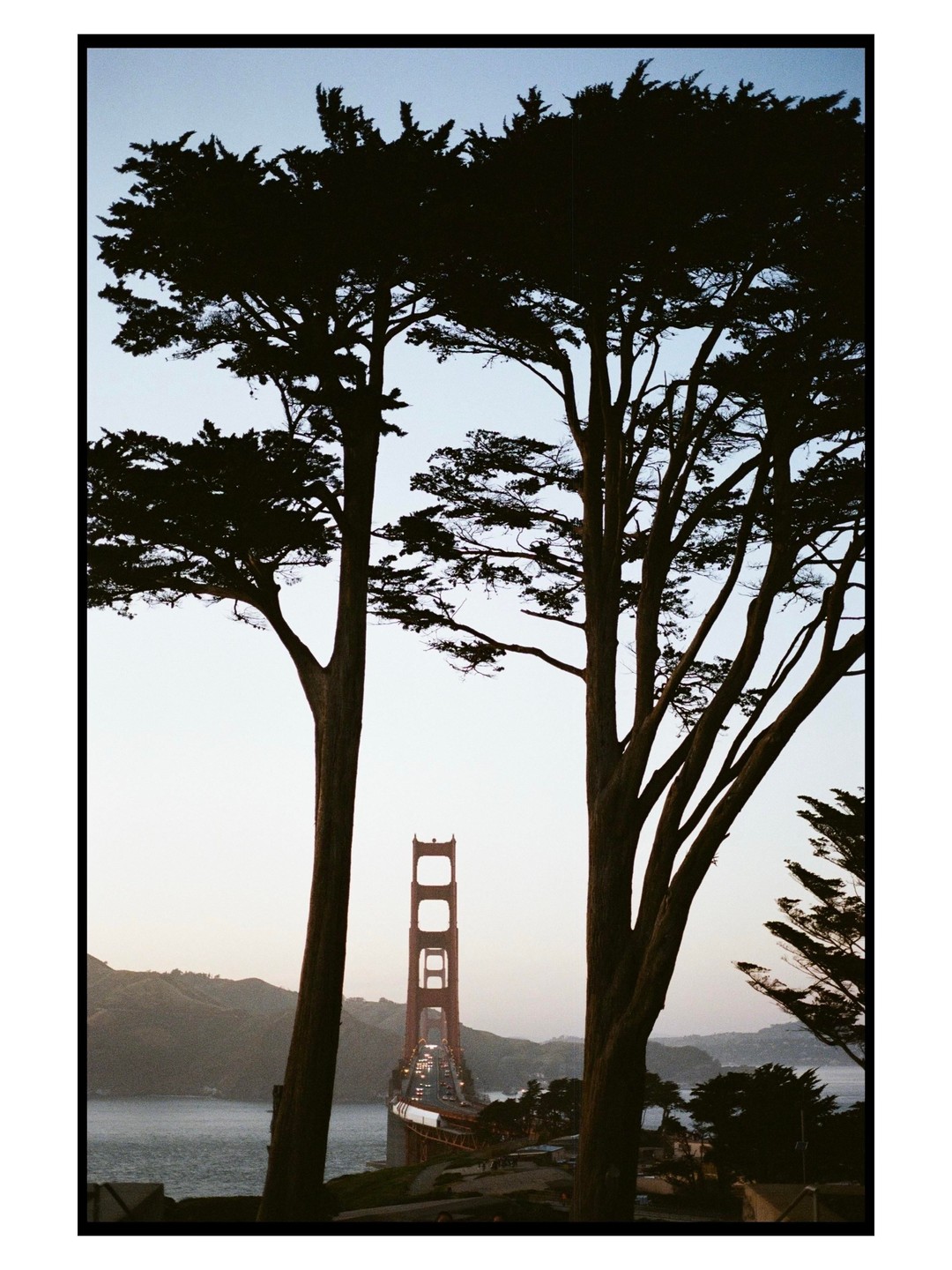 Two large trees frame a view of the Golden Gate Bridge at dusk.