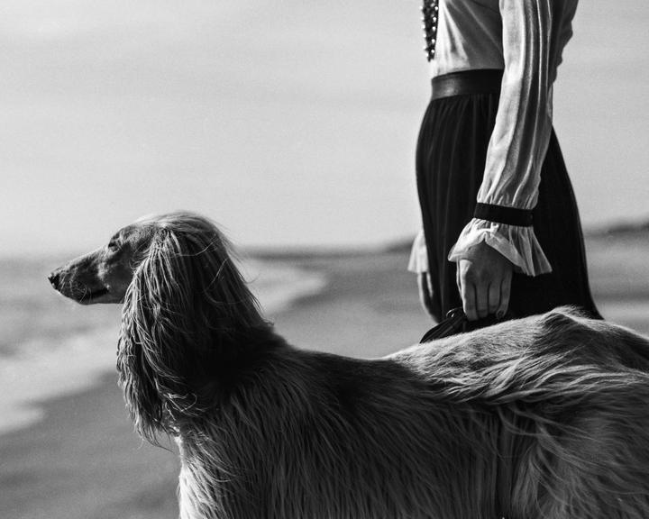 A woman holds a leash attached to a long-haired dog on a beach.