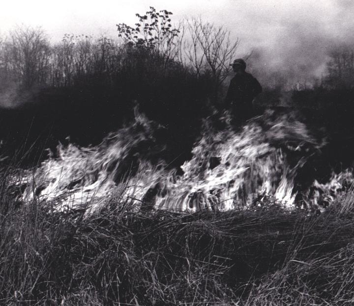 A man stands in a field with tall grass burning in the foreground.