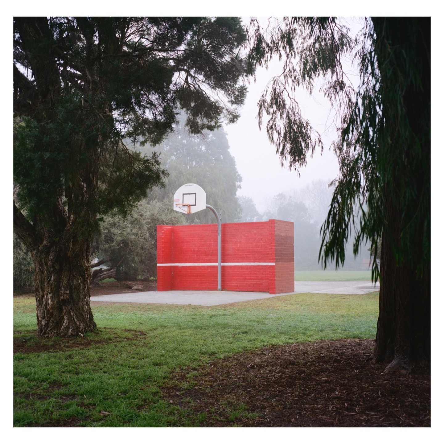 A basketball hoop is attached to a red brick wall on a foggy day, framed by trees.