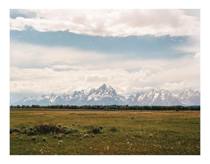 A vast green field with scattered wildflowers and bushes stretches towards a line of trees, beyond which snow-capped mountains rise under a cloudy sky.