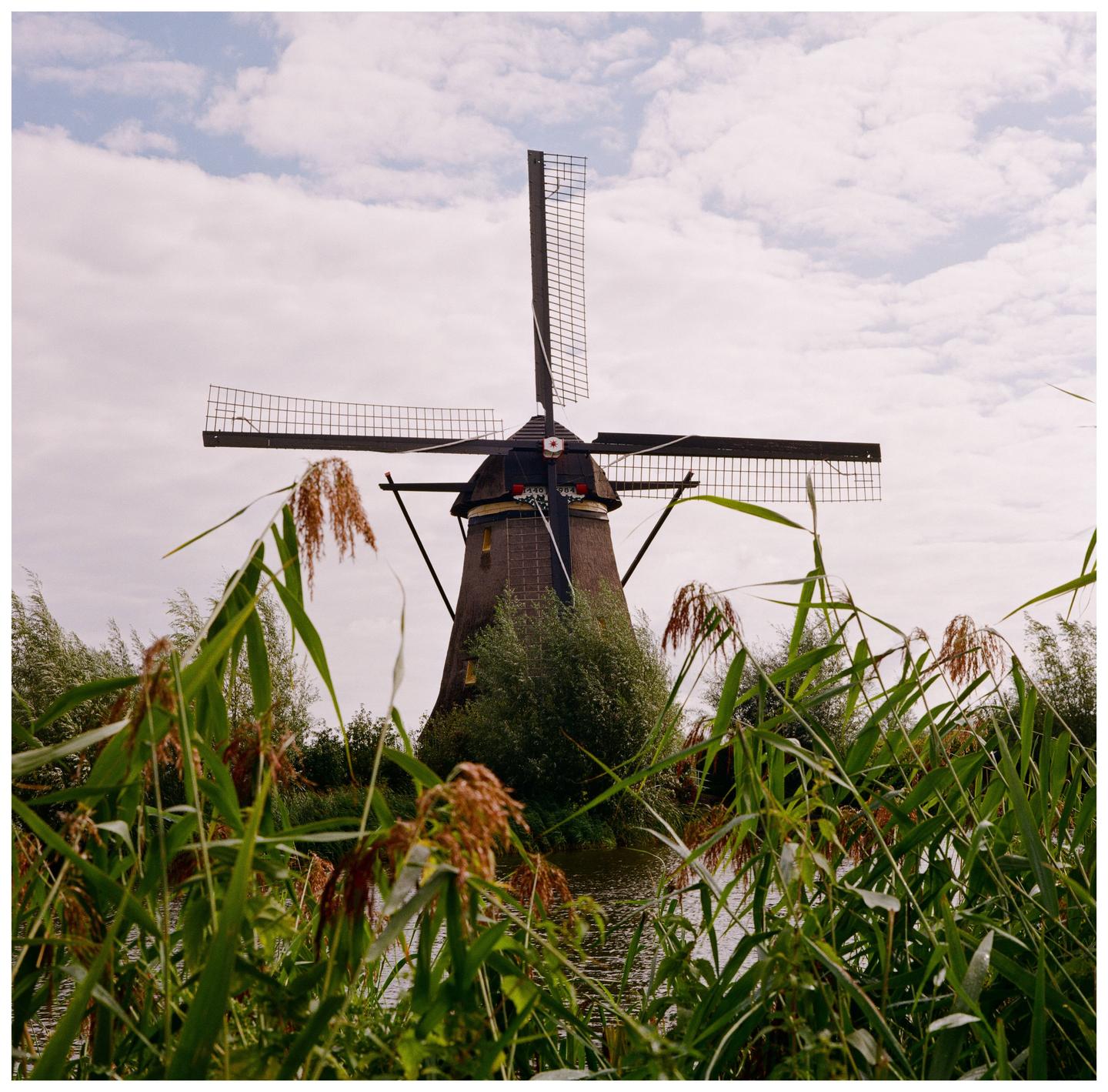 A windmill stands behind tall reeds and water under a cloudy sky.