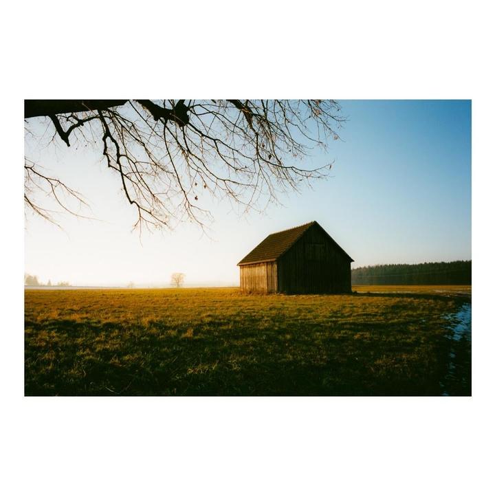 A wooden shed stands in a field under a clear sky with tree branches in the foreground.