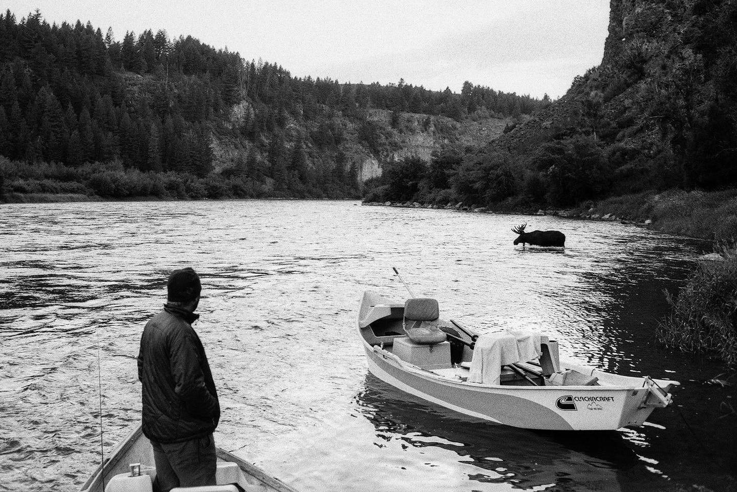 A man stands in a boat on a river, looking at a moose standing in the water with a forest and cliff in the background.