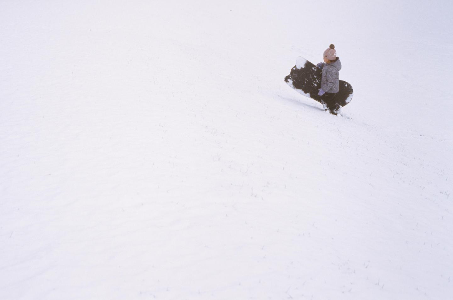A child sits on a sled shaped like an animal in a snow-covered field.