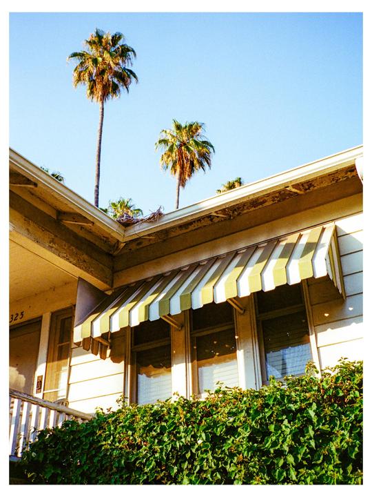 A building with a striped awning and green foliage is visible under a clear sky with palm trees.