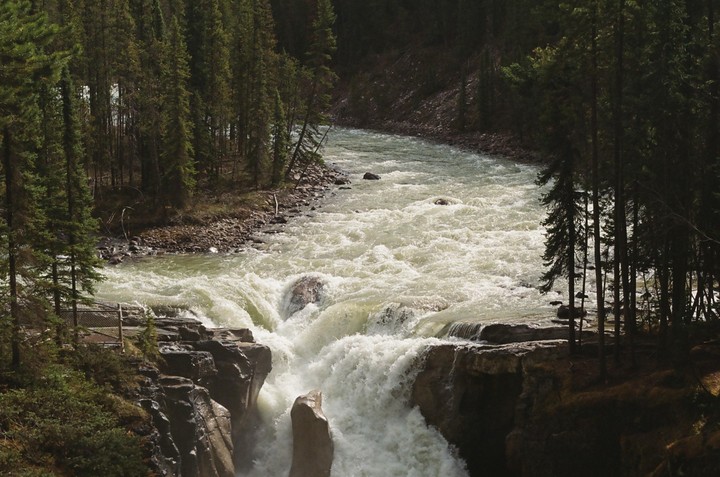 A wide river flows through a forest, cascading over rocks to form a waterfall in the foreground.