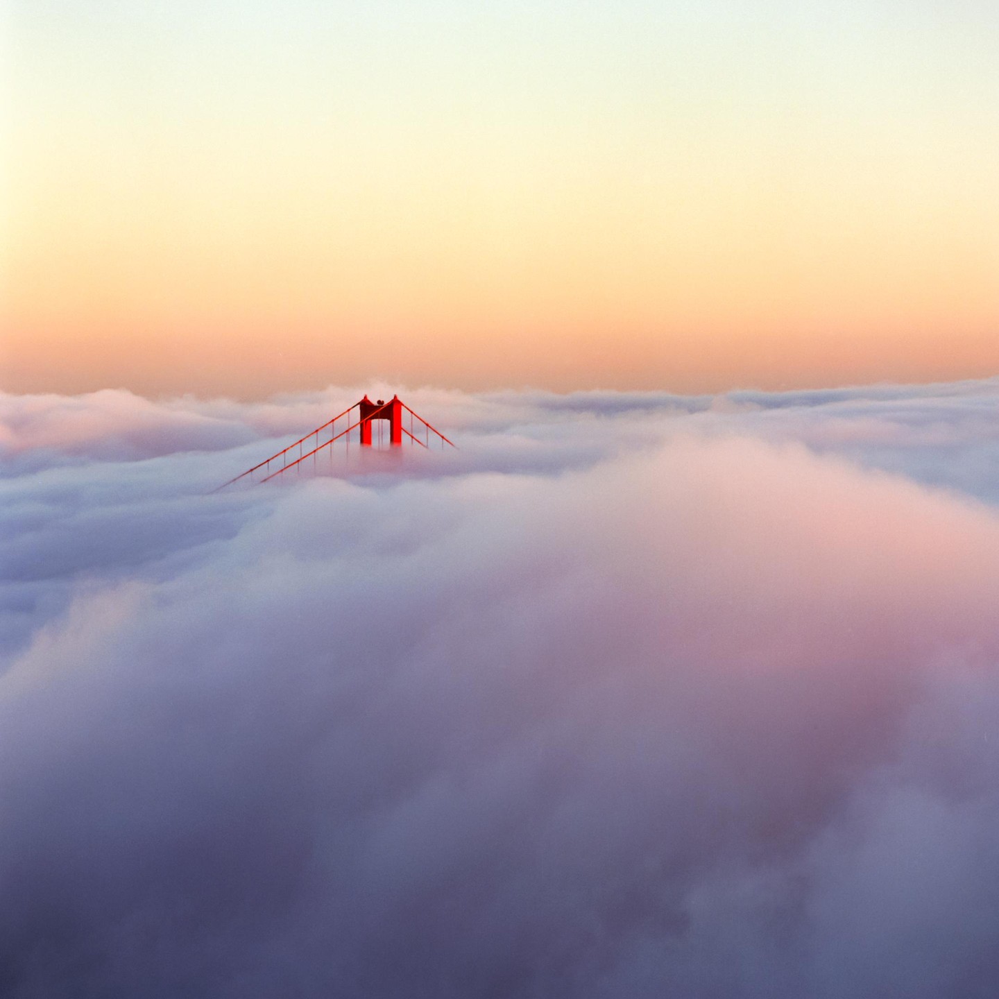 The Golden Gate Bridge is visible above a thick layer of fog at sunset.