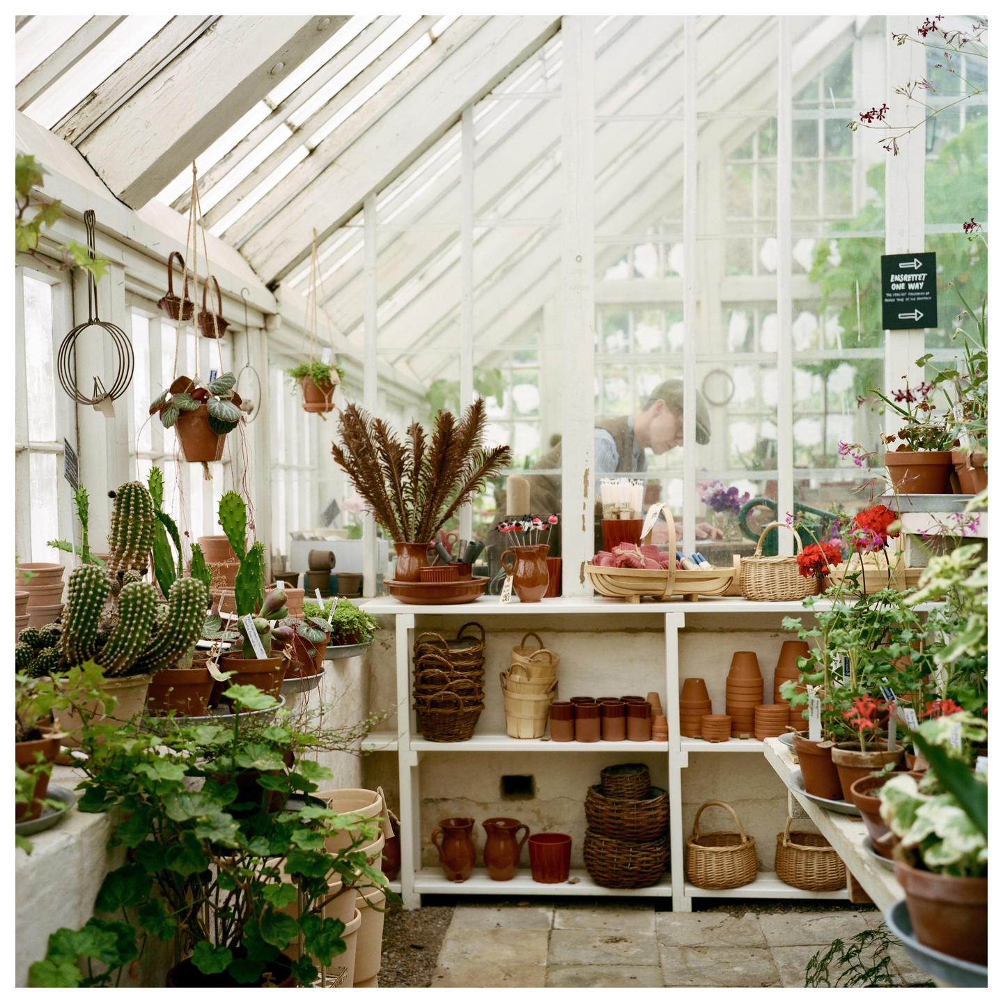 A man works in a greenhouse filled with plants, pots, and baskets.