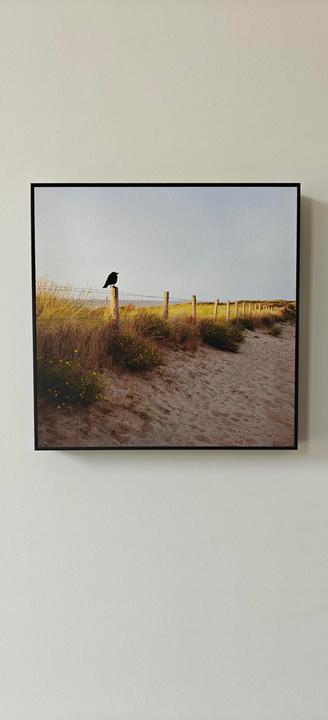 A black bird sits on a fence post in a sandy, grassy landscape.