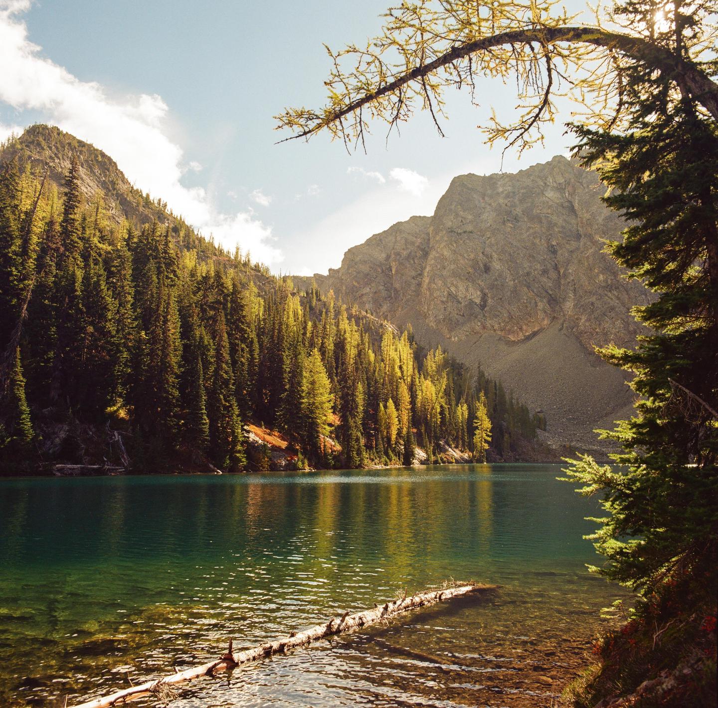A clear lake is surrounded by a forest of pine trees and mountains under a bright sky.