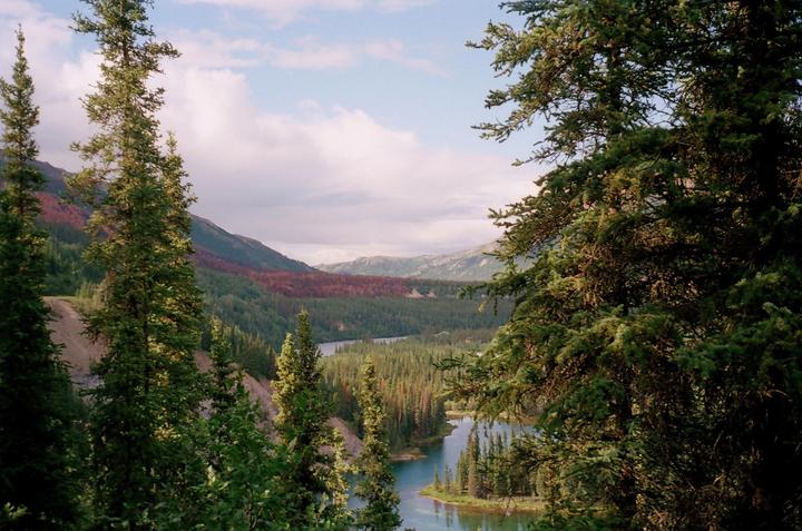 A winding river flows through a valley filled with evergreen trees, with mountains in the distance under a cloudy sky.