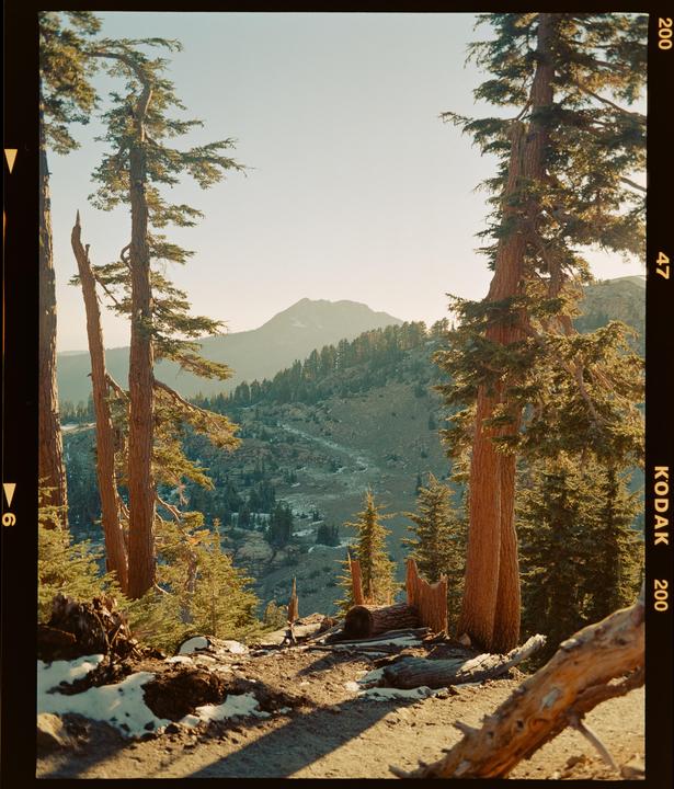 A mountain landscape with tall pine trees in the foreground and patches of snow on the ground.