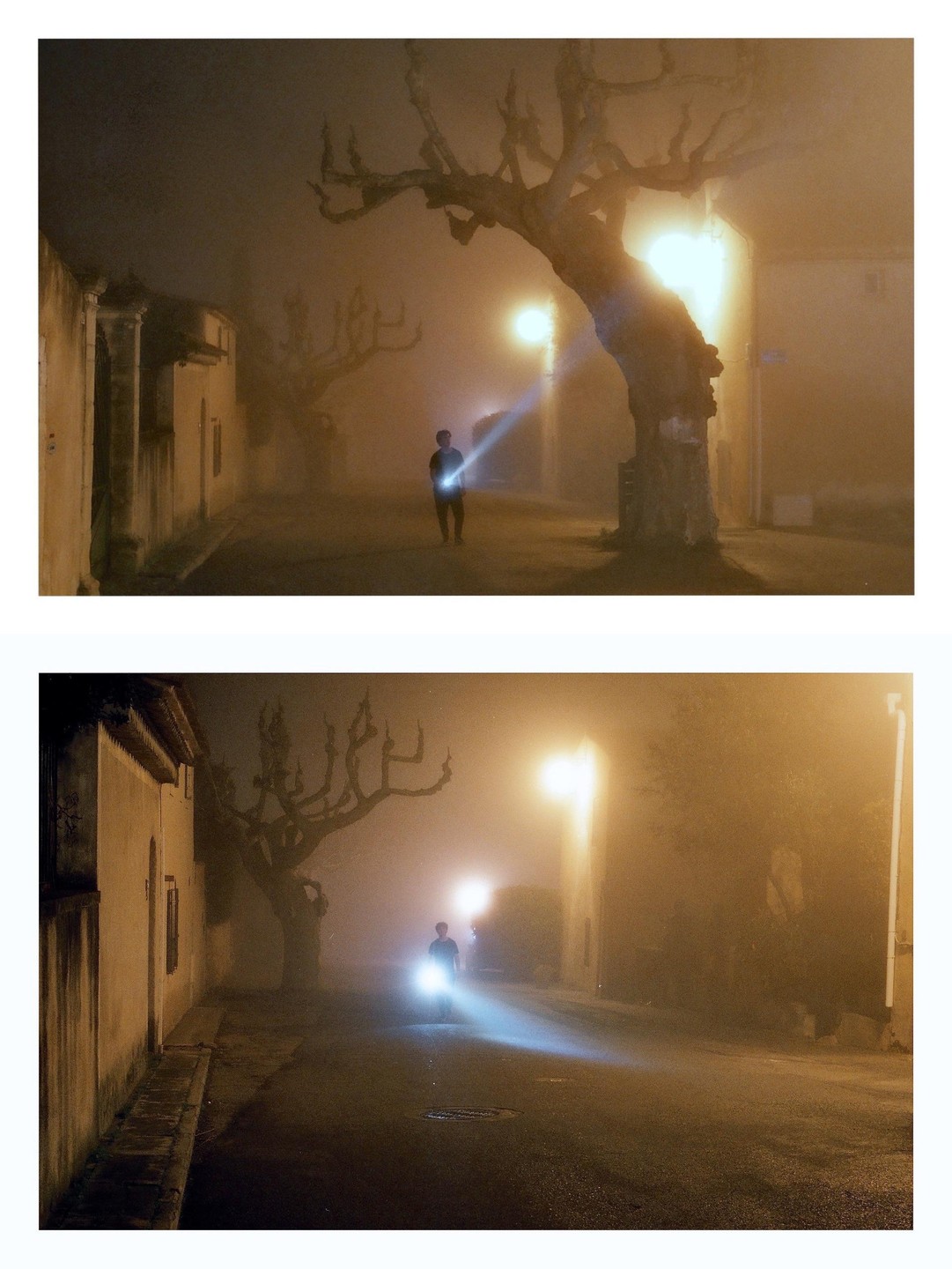 A person with a flashlight walks down a foggy street at night, past a large tree and buildings.